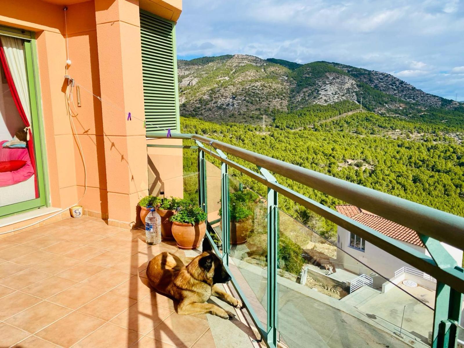 Ferienwohnung Precioso Atico En La Sierra De Irta Alcossebre Exterior foto